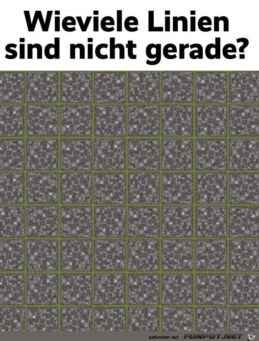 witzige Bilder aus verschiedenen Blogs