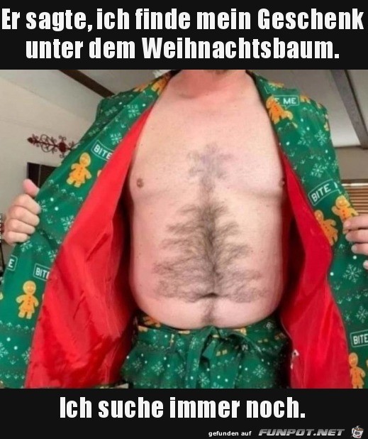 Unter dem Weihnachtsbaum