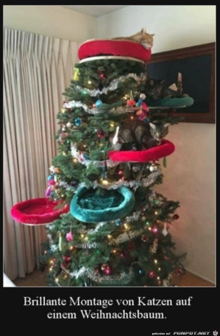 Katzen-Weihnachtsbaum