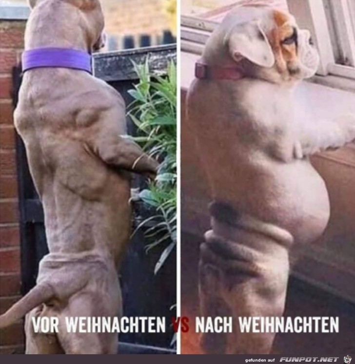 Vor und nach Weihnachten