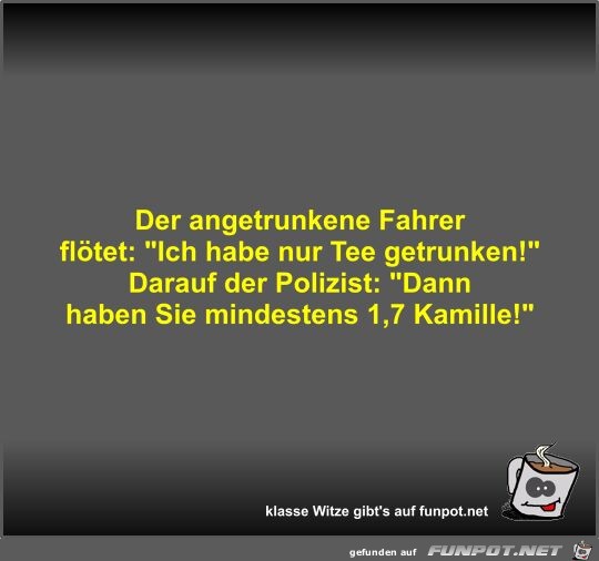 Der angetrunkene Fahrer fltet