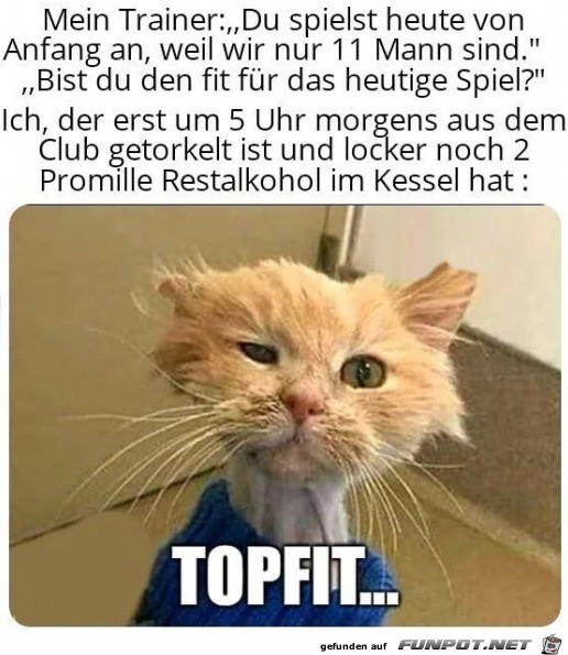 Ich bin topfit