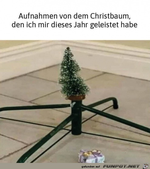 Was fr ein stattlicher Baum