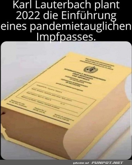 Impfpass neu