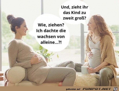 Eine Dumpfmeise