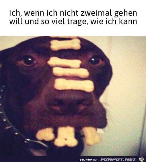 Nur einmal laufen