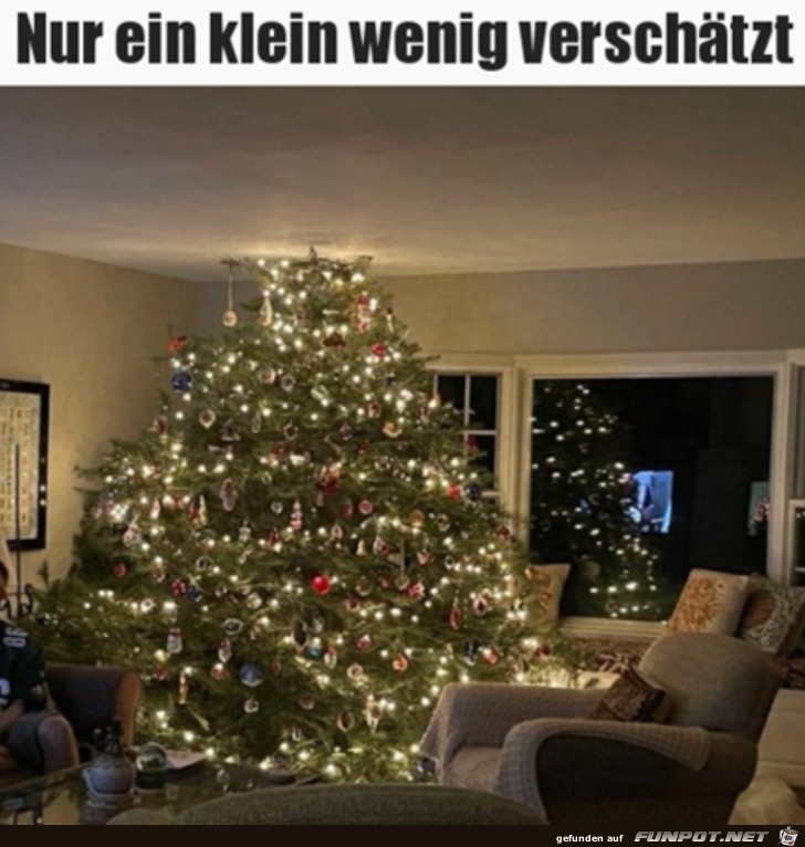 Ziemlich groer Weihnachtsbaum