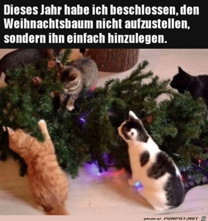 Gute Idee mit dem Weihnachtsbaum