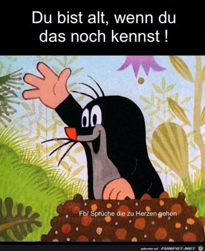 Du bist alt