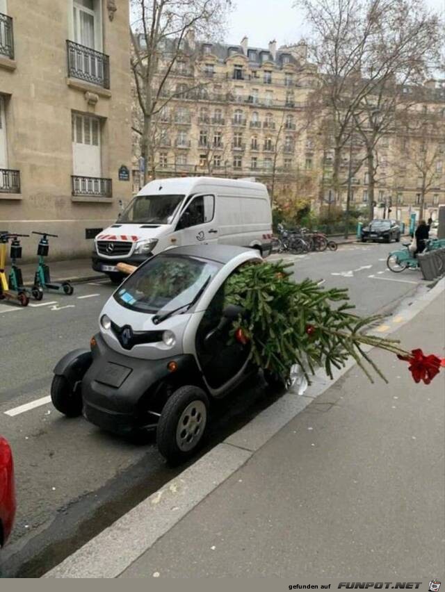 Groer Baum in kleinem Auto