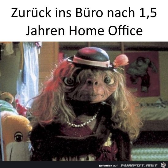 Zurueck ins Buero