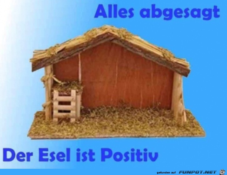 Esel ist positiv