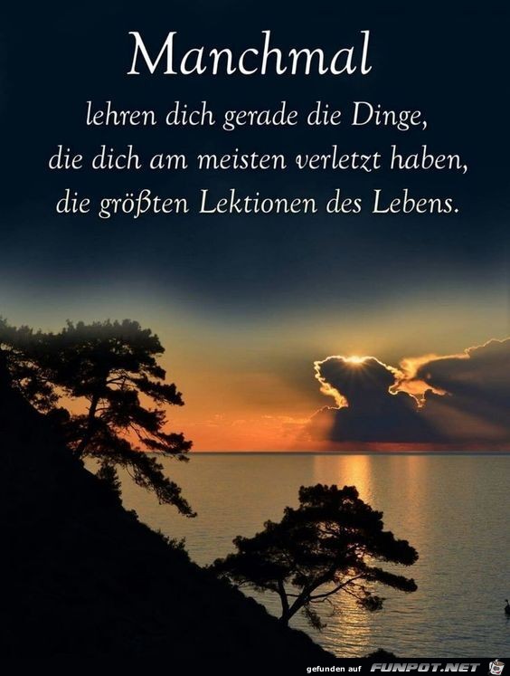 Manchmal lehren dich Dinge