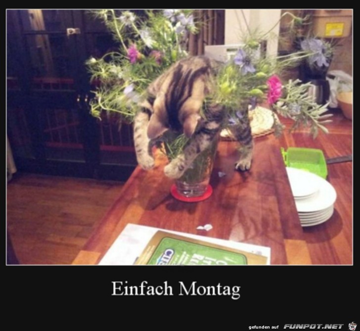 Montag