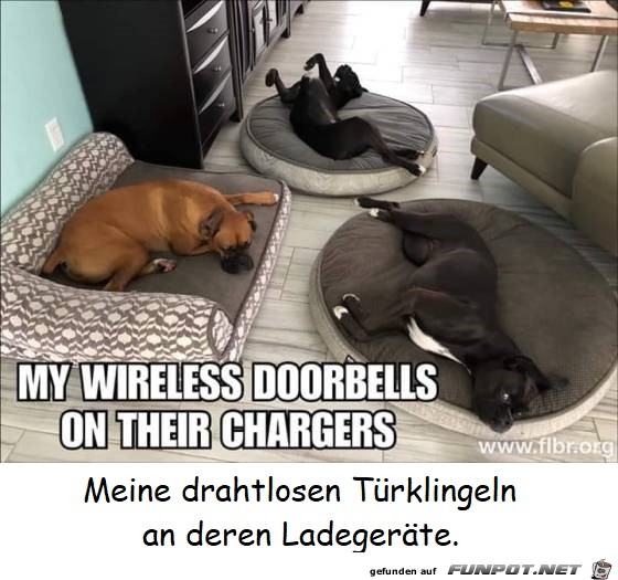 My Wireless Doorbells - English German