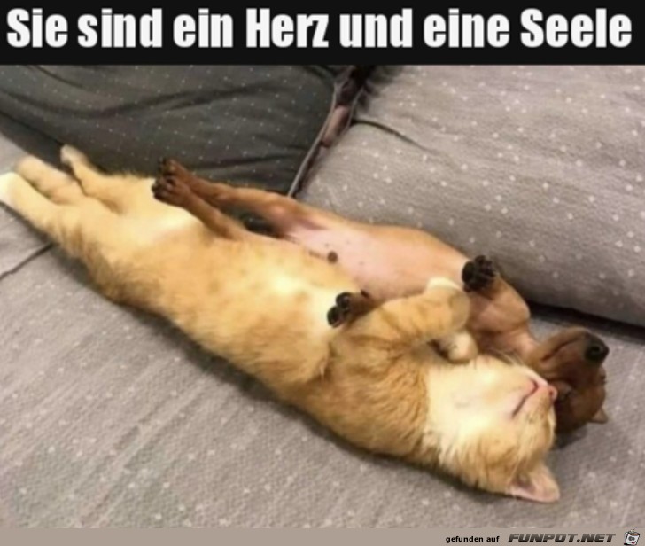 Ein Herz und eine Seele