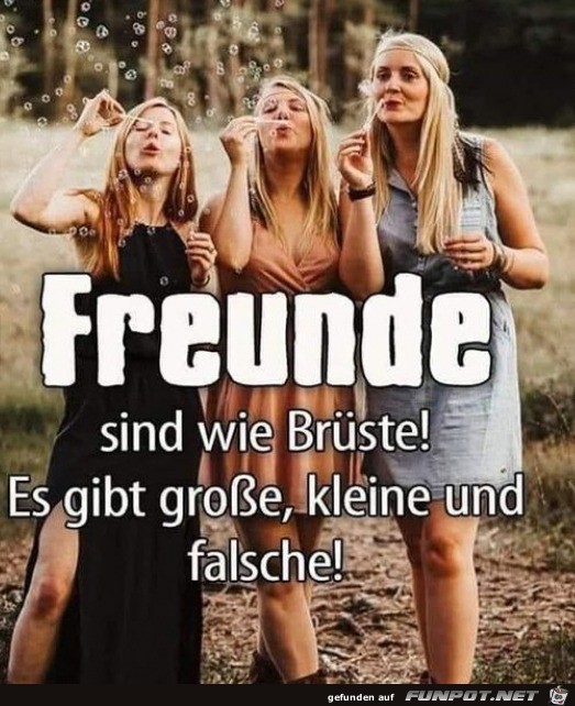 Freunde