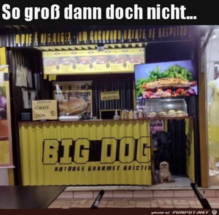 Kein wirklich groer Hund