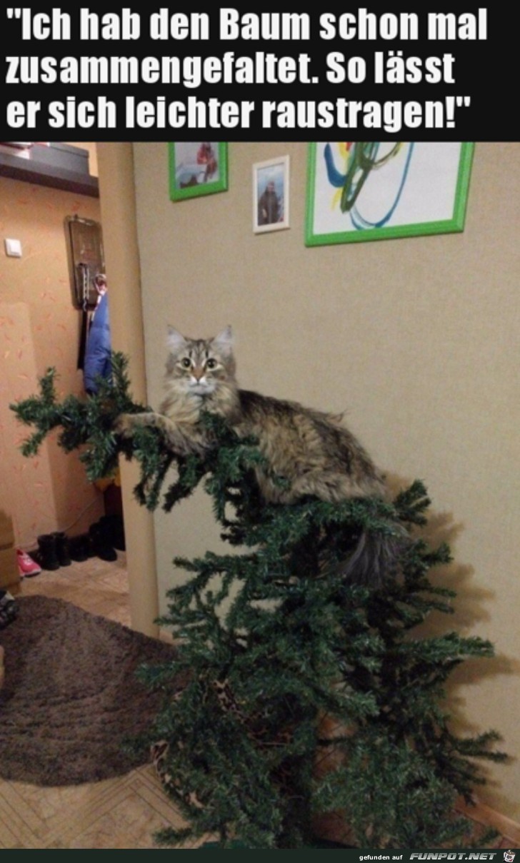 Baum schon mal zusammengefaltet