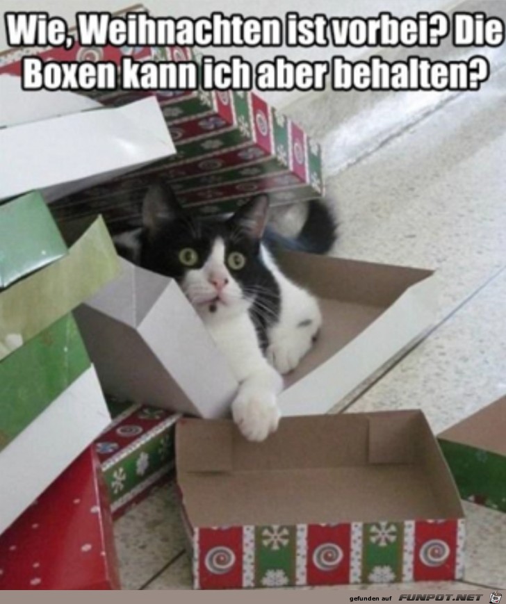 Die Boxen will ich behalten