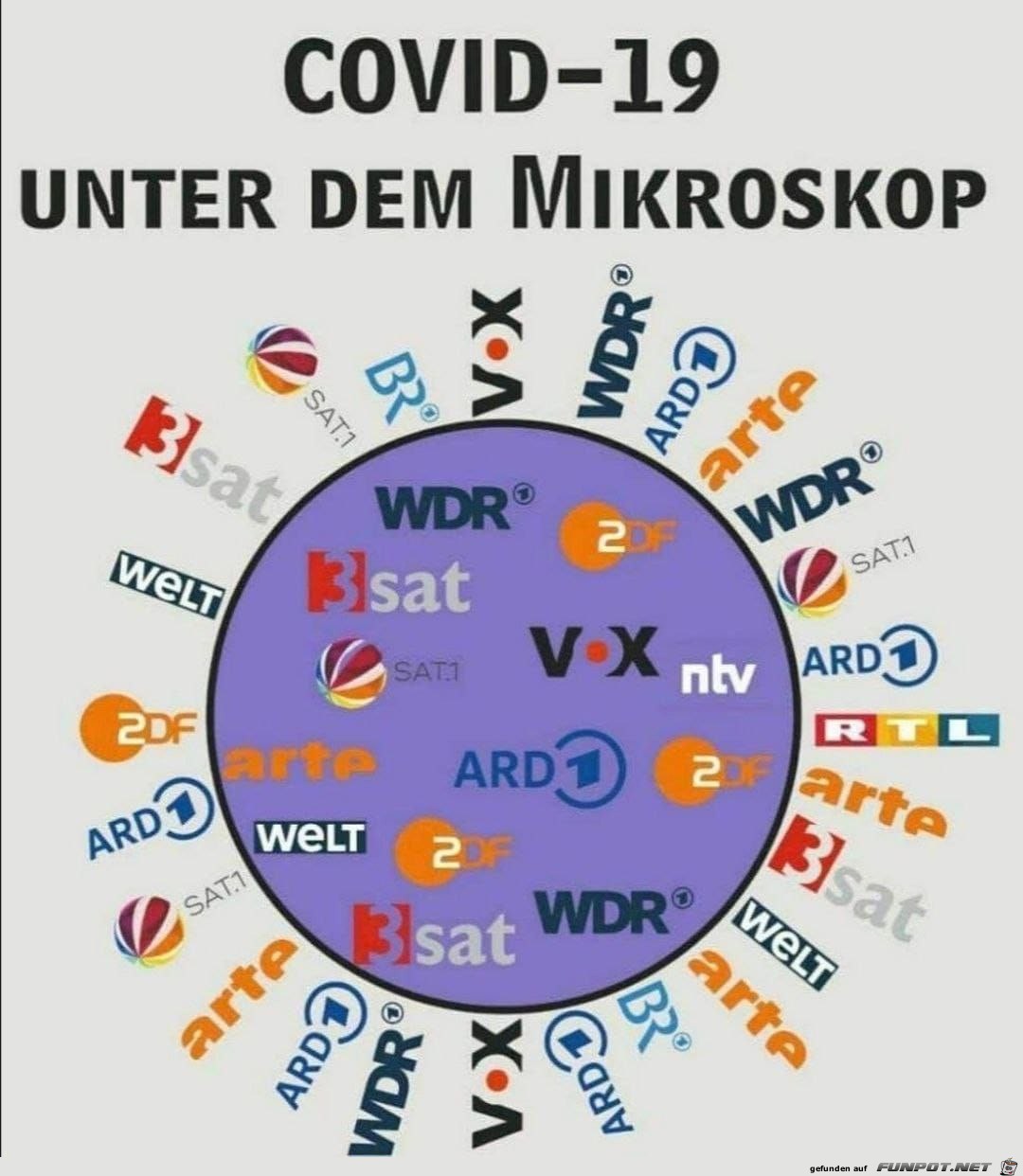 Unter dem Mikroskop