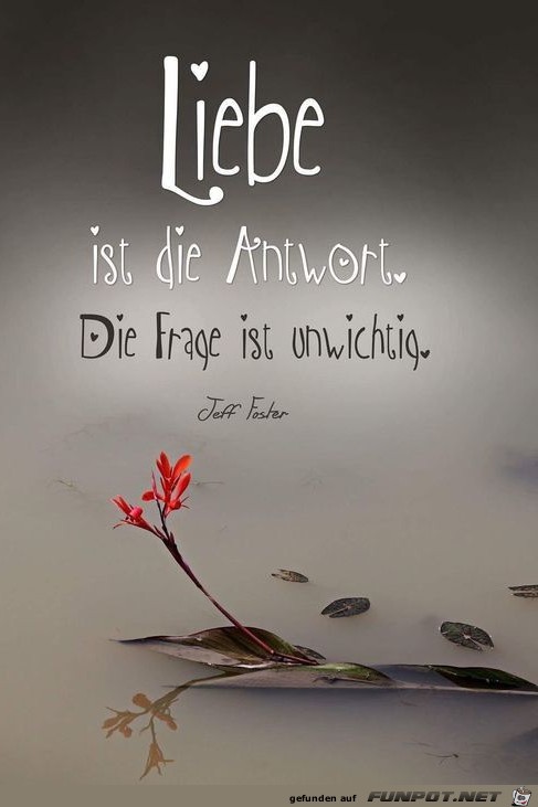 Liebe ist Antwort