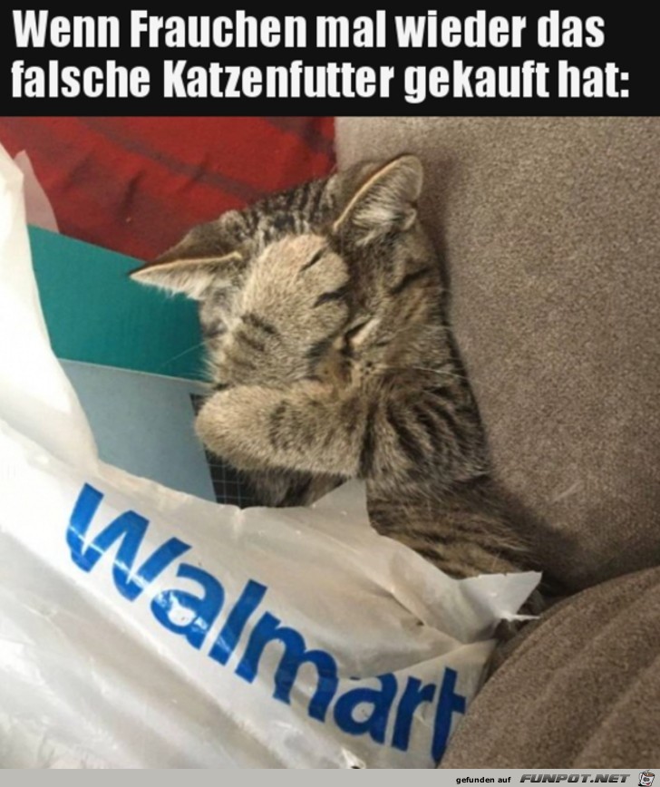 Falsches Katzenfutter