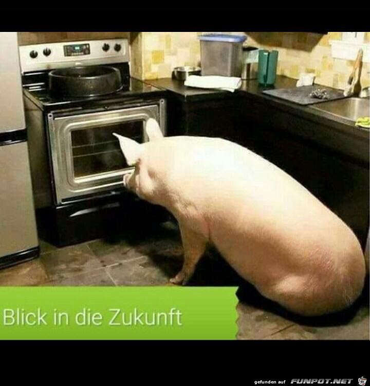 Zukunft