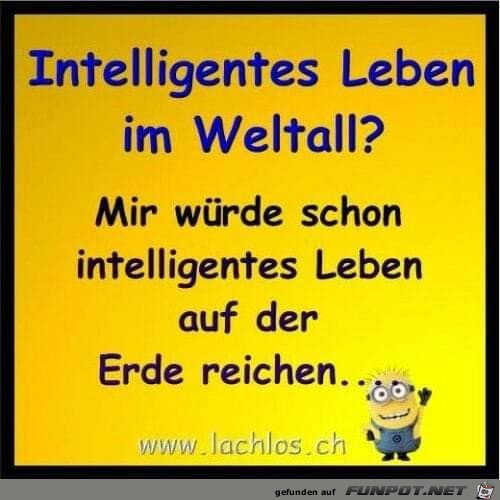 Im Weltall