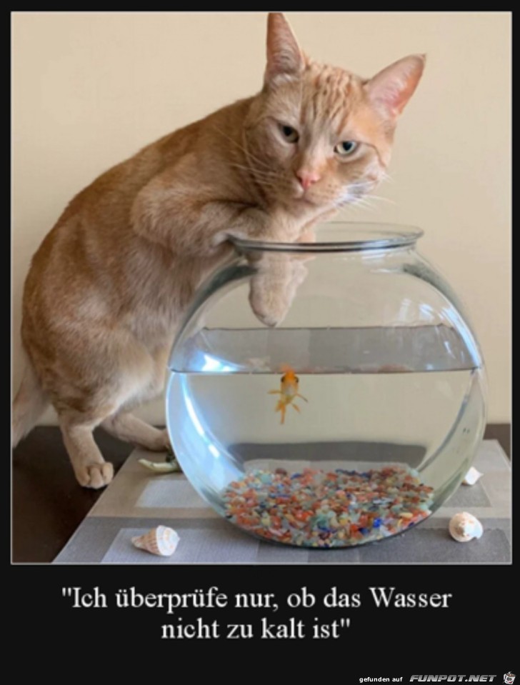 Nur mal die Wassertemperatur prfen