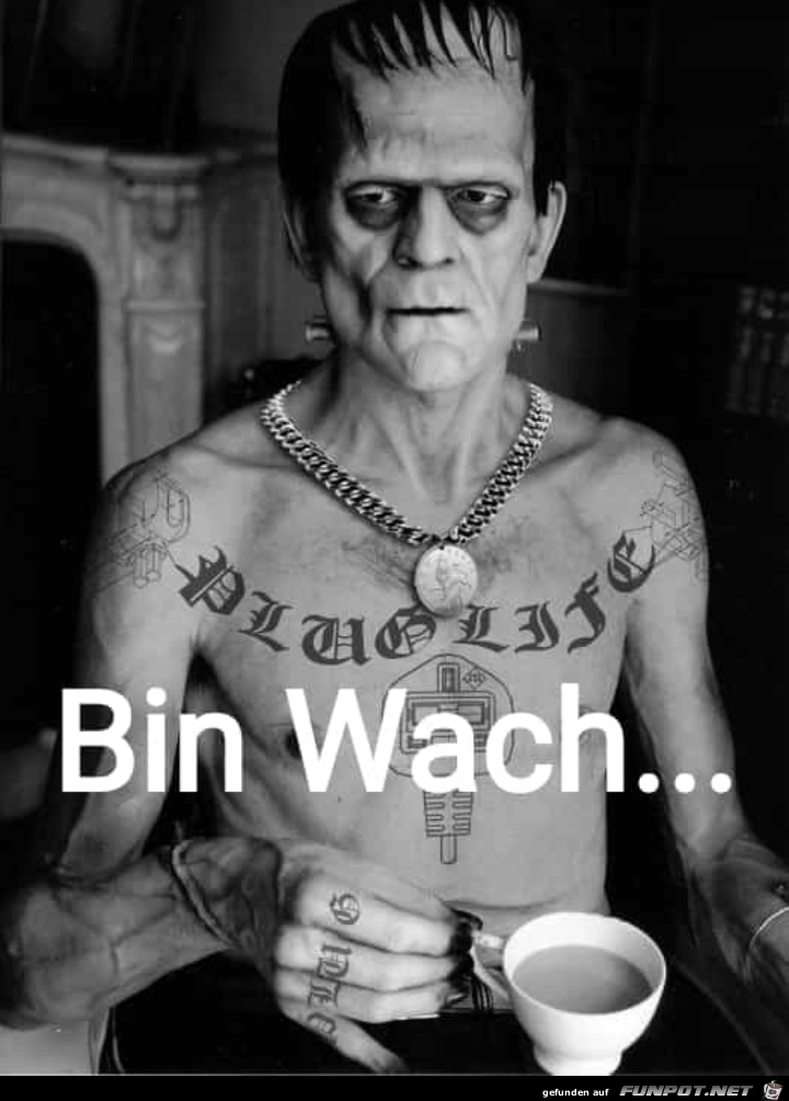 Bin Wach...