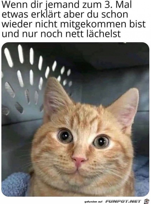 Ich hab nicht aufgepasst