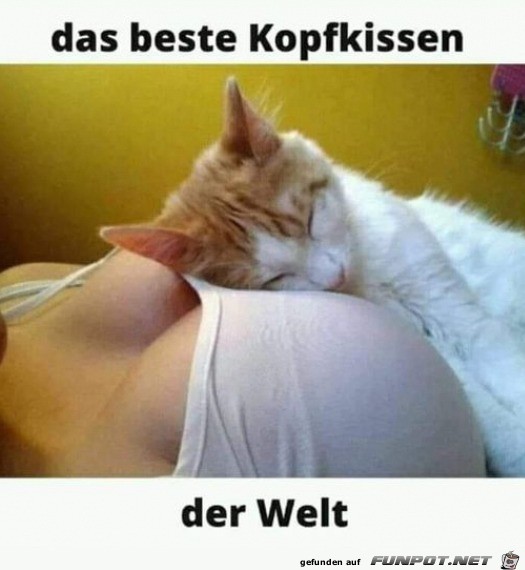 Super Kopfkissen