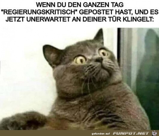 Wer klingelt da?