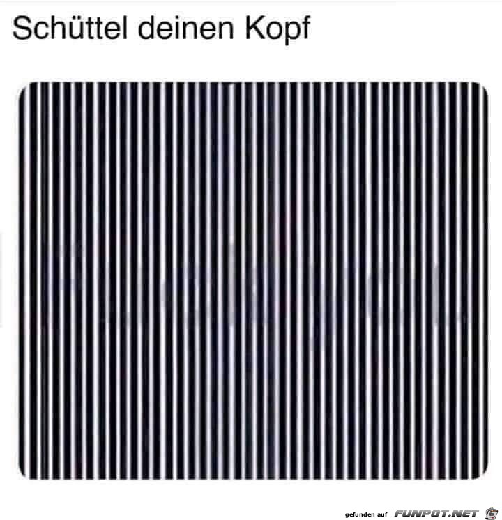 schttel den Kopf