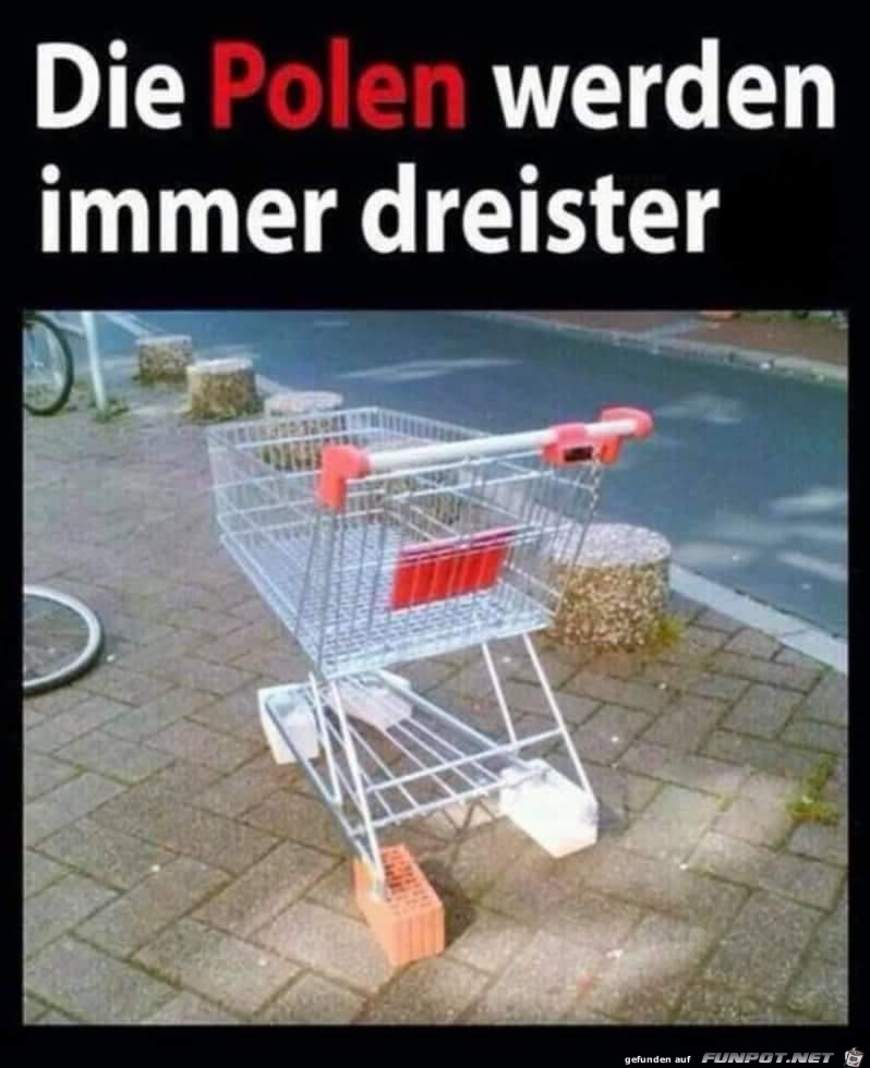 immer dreister