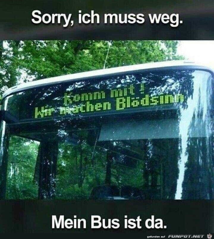 Mein Bus ist da