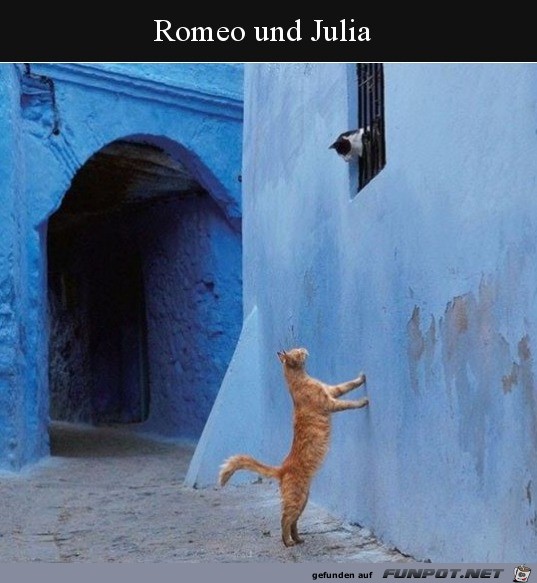 Romeo und Julia