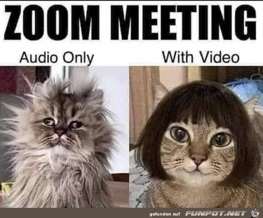Zoom Meeting mit und ohne Kamera