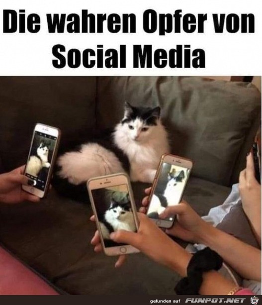 Die wahren Opfer