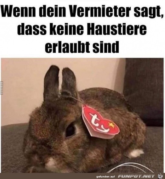 Keine Haustiere erlaubt