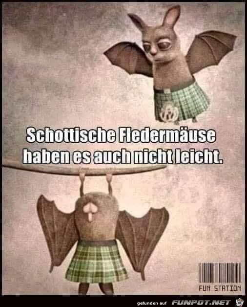 Schotten Schotten