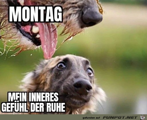 Der Montag