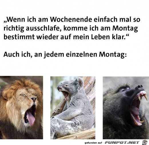 Jeden Montag