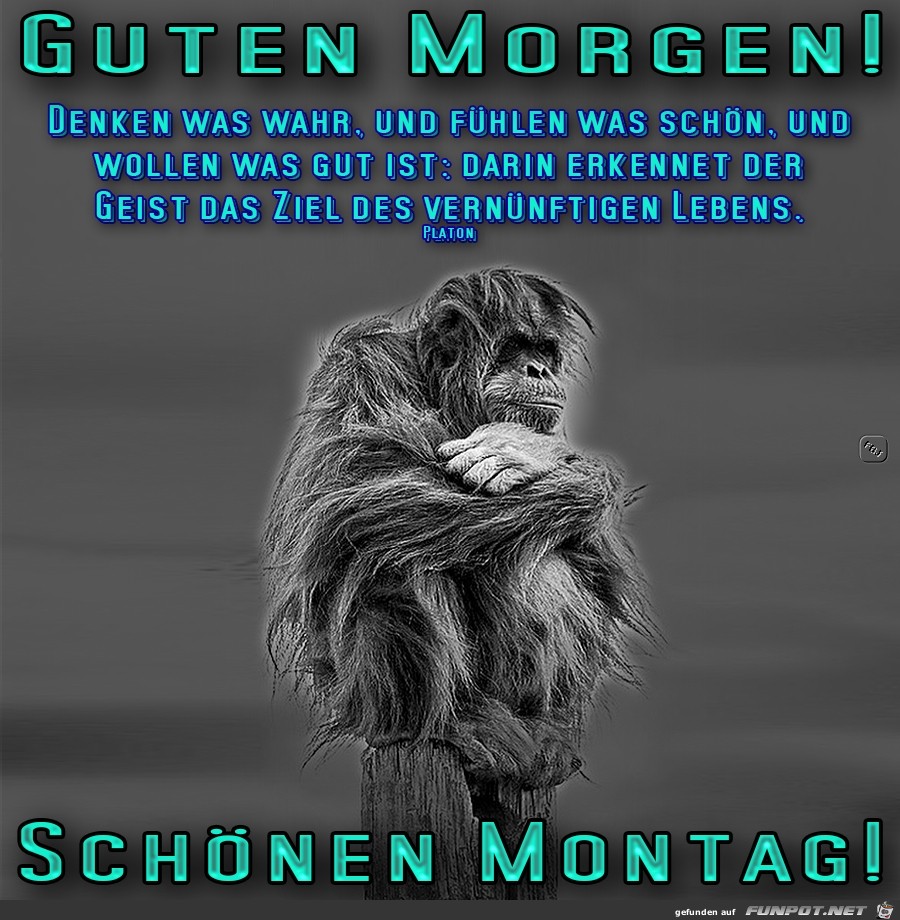 Montag