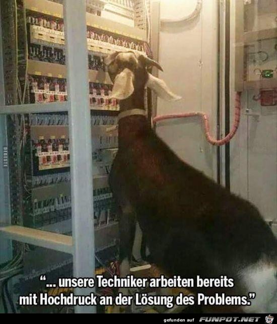 unsere Techniker