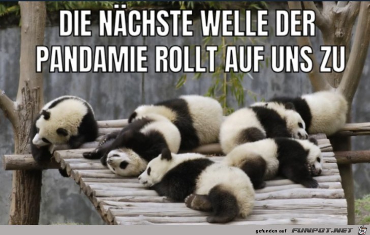 Die nchste Pandamie rollt an