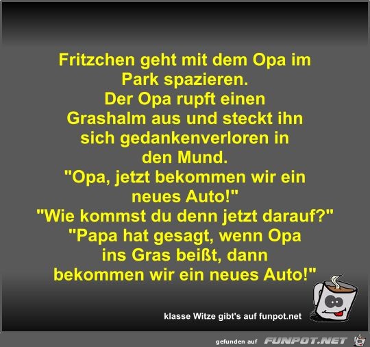 Fritzchen geht mit dem Opa im Park spazieren