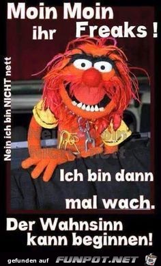 Moin