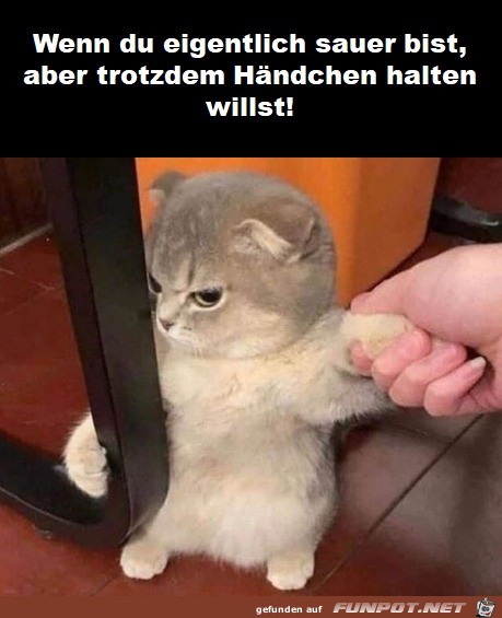 Ktzchen ist sauer